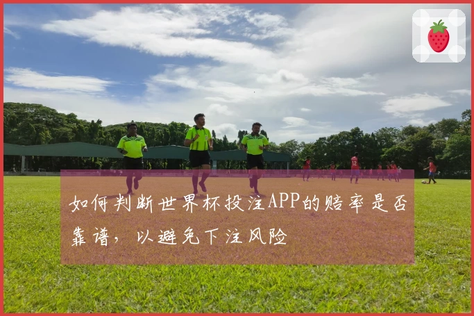 如何判断世界杯投注APP的赔率是否靠谱，以避免下注风险
