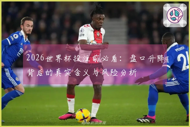 2026世界杯投注前必看：盘口升降背后的真实含义与风险分析