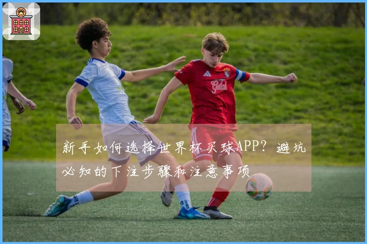 新手如何选择世界杯买球APP？避坑必知的下注步骤和注意事项